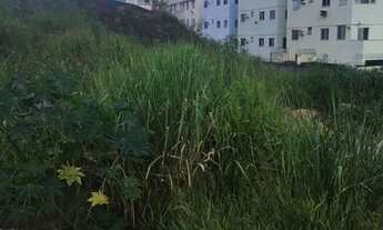 Imagem 5: Imóvel para venda possui 4270 metros quadrados em Aribiri - Vila Velha