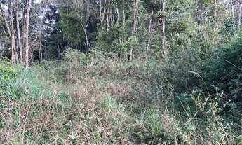 Imagem 2: São Lourenço da Serra - Terreno Padrão - Despésio