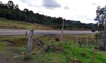 Imagem 6: SITIO Chácara com venda por R$1