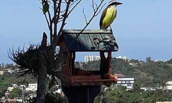 Imagem 3: LINDA COBERTURA 3QTOS-SUÍTE-209M2-DEP-2VGS- FREGUESIA JPA RJ