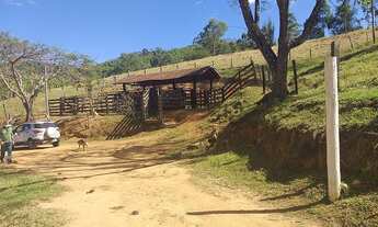 Imagem 3: Fazenda/Sítio/Chácara para venda possui 5000 metros quadrados com 3 quartos