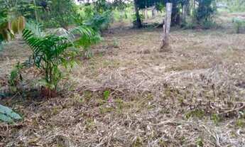 Imagem 2: Vendo propriedade rural