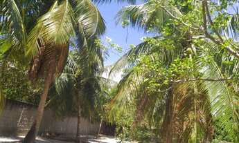 Imagem 6: TERRENO MURADO Localização maravilhosa