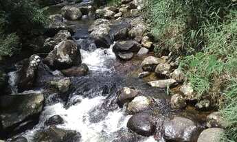 Imagem 3: Petrópolis - Apartamento Padrão - Pedro do Rio