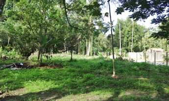 Imagem 5: Sítio para Venda em Angra dos Reis, Santa Rita do Bracuí (Cunhambebe