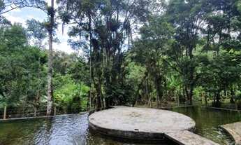Imagem 4: Chácara para Venda - Rio Sagrado, MORRETES - 200m²
