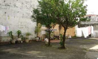 Imagem 6: PACAEMBU RUA FECHADA