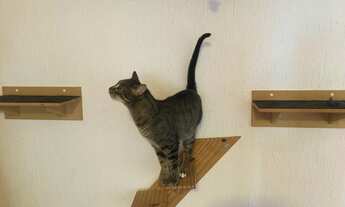 Imagem 3: Vista horizonte e Mar de Ipanema