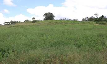 Imagem 3: Terreno em Cotia, próximo ao centro de Caucaia