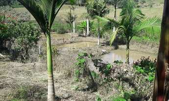 Imagem 6: COD:637 Chácara em Cachoeira de Minas