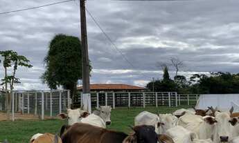 Imagem 5: FAZENDA Fazenda / sítio com venda por R$2.500.000