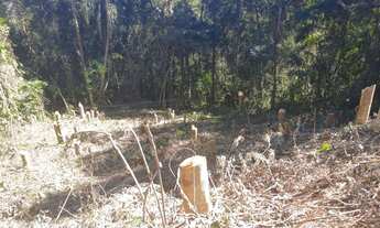 Imagem 2: Terreno à venda, 598 m² - Vila Verde - Itapevi/SP