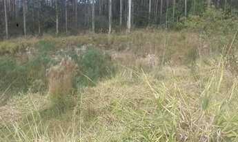 Imagem 7: Terreno em Rio dos Cedros barragem pinhal
