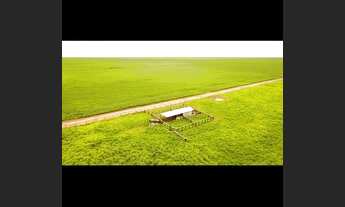 Imagem 7: Fazenda Município Feliz Natal - MT