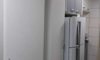 Imagem 6: LONDRINA - Padrão - GLEBA PALHANO