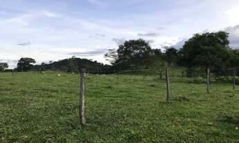 Imagem 14: Sítio 5 alqueires Petrolina de Goiás ( chácara