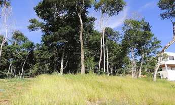 Imagem 2: Ref.: 9123 - Lote ou Terreno - Salvaterra