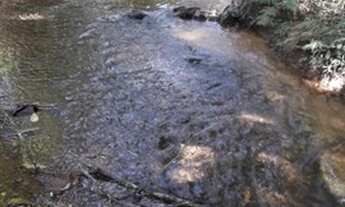 Imagem 4: Chácara 2.500m² em Betim, nascente, córrego e lagoa. OPORTUNIDADE!