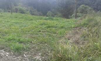 Imagem 3: Terreno em Rio dos Cedros barragem pinhal