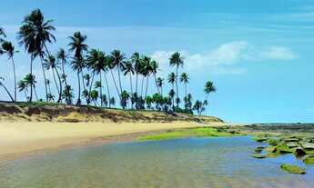 Imagem 5: Lote/Terreno para venda com 450 metros quadrados em Costa do Sauípe - Mata de São João - B