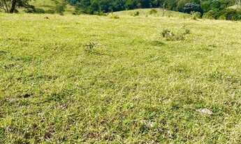 Imagem 2: R11- Vendo terreno proximo ao asfalto