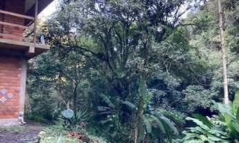 Imagem 7: Sítio com 14 hectares contendo cachoeiras na Serra Gaúcha