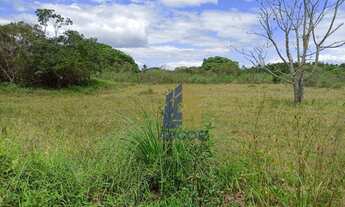 Imagem: Terreno em Jurerê Internacional sem vizinho
