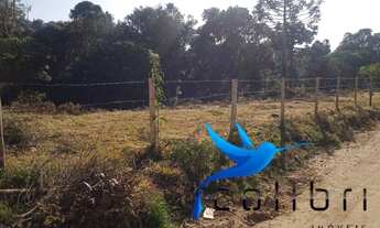 Imagem 2: Terreno para moradia ou mini chácara medindo 1.651,74m²