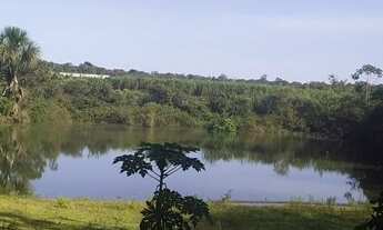 Imagem: Fazenda Rio Claro
