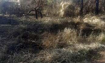 Imagem 4: Terreno Vale Do Iguapó