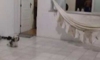 Imagem 3: Aracaju - Casa Padrão - Suíssa