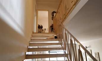 Imagem 6: SOBRADO ESPAÇOSO LOCALIZADO NO MELHOR DA VILA MASCOTE!