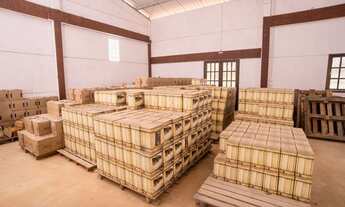 Imagem 3: Alambique de Cachaça artesanal