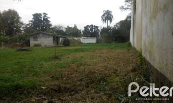 Imagem 2: PORTO ALEGRE - Terreno Padrão - Ipanema