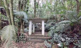 Imagem 4: ANTôNIO CARLOS - Padrão - Rocinha