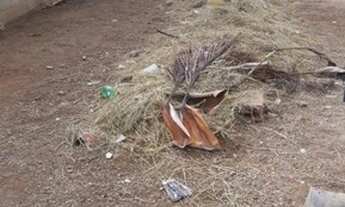 Imagem 2: Lote para Venda em Itupeva, Residencial Pacaembu II