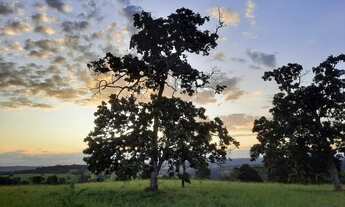 Imagem 4: Vendo Chácara Chácara com venda por R$250.000