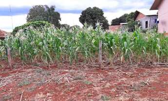 Imagem: São Pedro do Iguaçu - Lote/Terreno - Centro