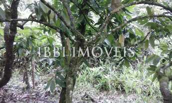 Imagem 5: Fazenda Larissa Fazenda / sítio com venda por R$700.000