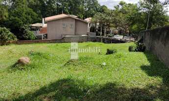 Imagem: MARAVILHOSO LOTE NO SP II