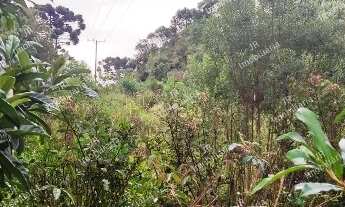 Imagem 4: Excelente Chácara Sem Benfeitorias