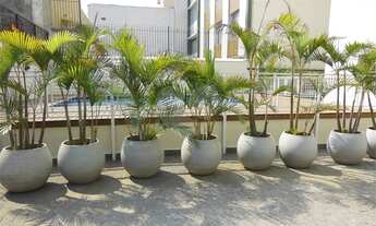 Imagem 7: São Paulo - Apartamento Padrão - PINHEIROS