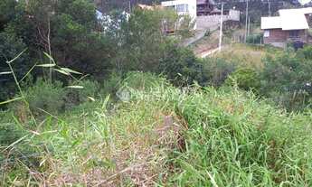 Imagem 4: IMBITUBA - Terreno Padrão - Ibiraquera