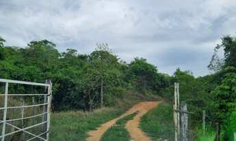 Imagem 2: Fazenda para venda tem 250 ha de solo virgem!!! Divisa de Matheus Leme e Juatuba