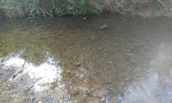 Imagem 3: Fazendinha oportunidade