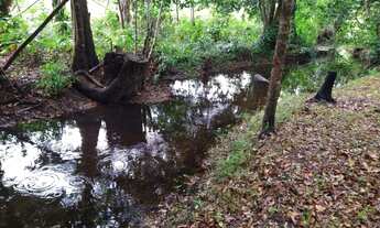 Imagem: Sítio com lindo igarapé para venda com