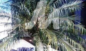 Imagem 4: Casa (térrea na rua) 2 dormitórios/suite, cozinha planejada