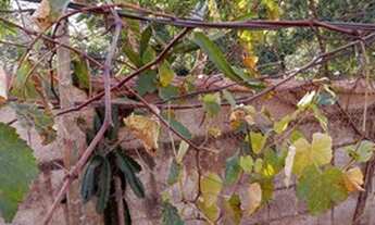 Imagem 3: Franco da Rocha - Casa Padrão - Estância Lago Azul