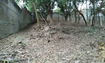 Imagem 3: FAZENDINHA - PARQUE DAS FIGUEIRAS