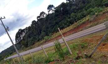 Imagem 5: SITIO Chácara com venda por R$1